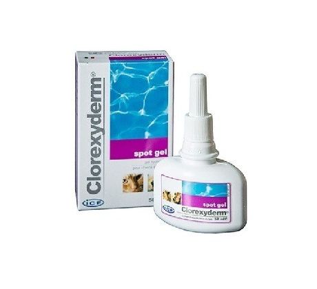ICF Clorexyderm spot gel 100 ml