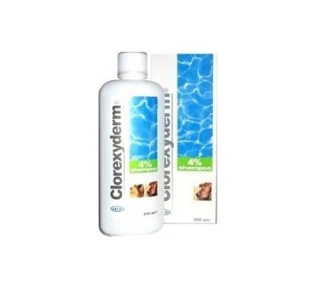 ICF Clorexyderm šampón 4 % 250 ml