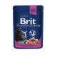 BRIT Premium CAT kaps. Adult Salmon Trout 100 g