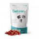 Geloren dog S-M kĺbová výživa pre malých psov 180g 60 ks