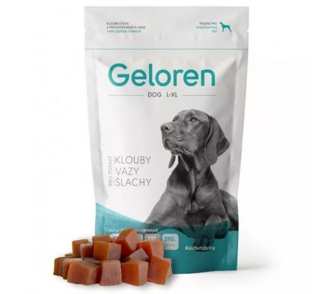 Geloren dog L-XL kĺbová výživa pre veľkých psov 420g 60 ks