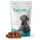 Geloren dog L-XL kĺbová výživa pre veľkých psov 420g 60 ks